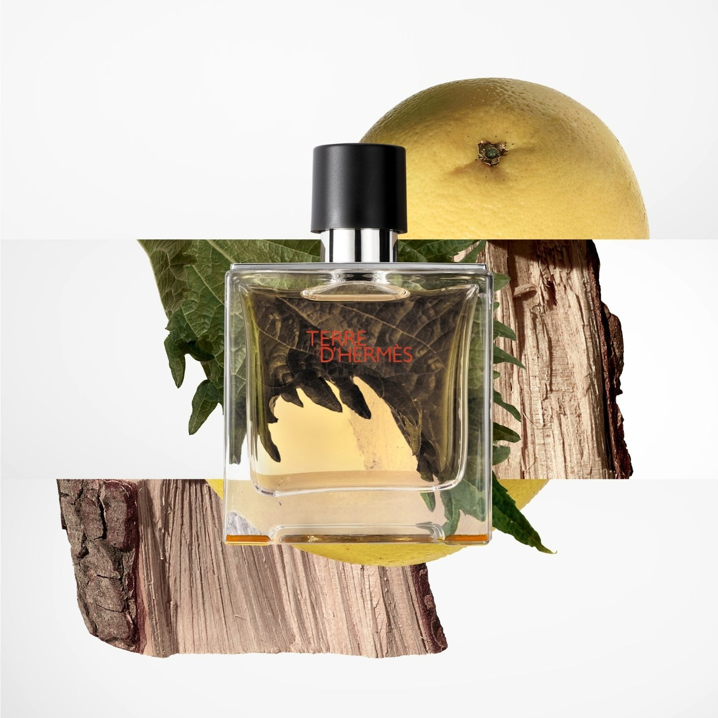 Terre D'Hérmès - Eau de Parfum
